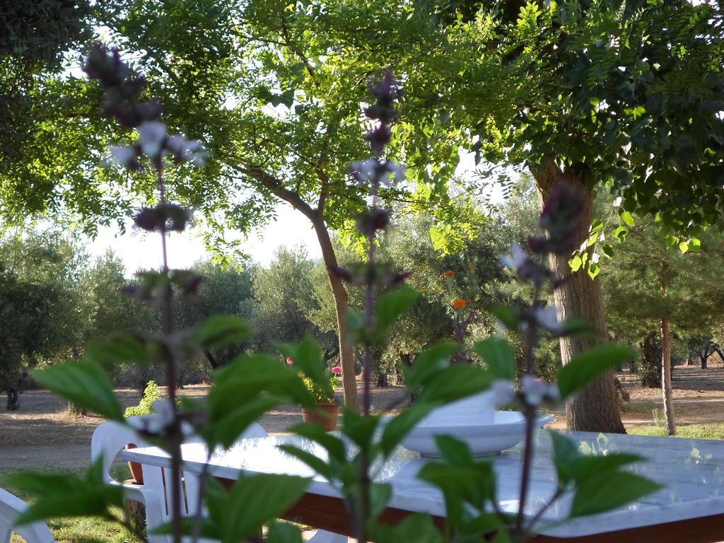 Bozelia Apartments โตโรนี ภายนอก รูปภาพ